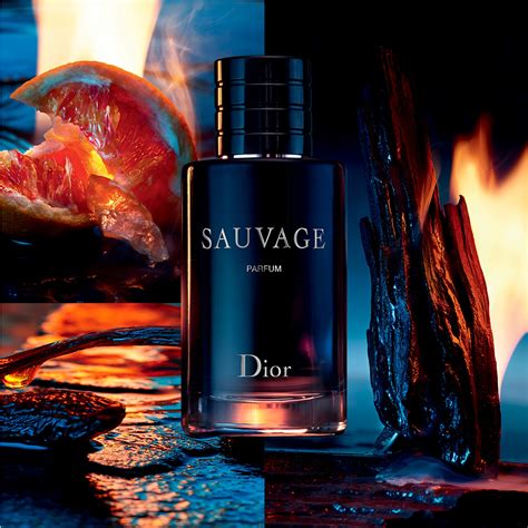 dior the maroc|parfum sauvage.